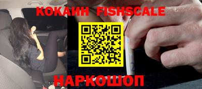 гидра Гай