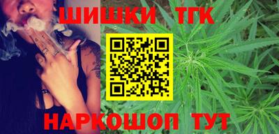 скорость Гатчина