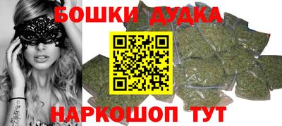 гидра Гай